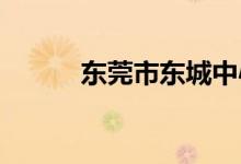 东莞市东城中心小学的地址在哪