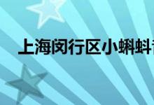 上海闵行区小蝌蚪音乐幼儿园的地址在哪