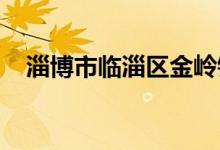 淄博市临淄区金岭镇中心小学的地址在哪