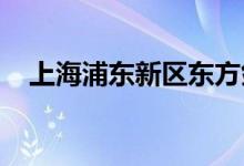 上海浦东新区东方剑桥幼儿园的地址在哪