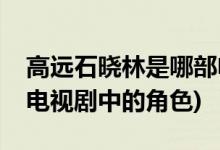 高远石晓林是哪部电视剧(高远石晓林是哪部电视剧中的角色)