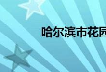 哈尔滨市花园小学的地址在哪