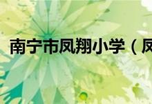 南宁市凤翔小学（凤翔路小学）的地址在哪