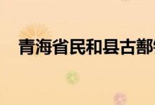 青海省民和县古鄯镇七里小学的地址在哪