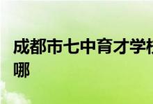 成都市七中育才学校（水井坊校区）的地址在哪