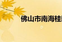 佛山市南海桂园小学的地址在哪