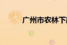 广州市农林下路小学的地址在哪