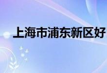 上海市浦东新区好日子幼儿园的地址在哪