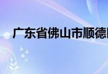 广东省佛山市顺德区桂洲中学的地址在哪