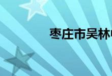 枣庄市吴林中学的地址在哪
