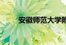 安徽师范大学附属中学的地址在哪