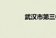 武汉市第三中学的地址在哪