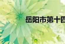 岳阳市第十四中学的地址在哪