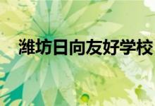 潍坊日向友好学校（小学部）的地址在哪