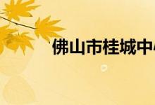 佛山市桂城中心小学的地址在哪