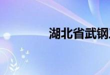 湖北省武钢三中的地址在哪