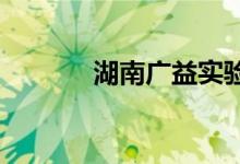 湖南广益实验中学的地址在哪