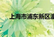 上海市浦东新区潼江幼儿园的地址在哪