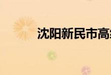 沈阳新民市高级中学的地址在哪