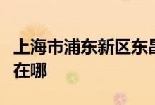 上海市浦东新区东昌幼儿园（恬园部）的地址在哪