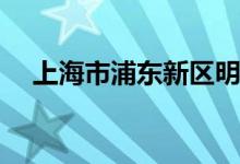 上海市浦东新区明珠小学B区的地址在哪