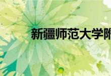 新疆师范大学附属中学的地址在哪