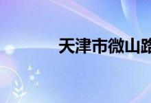 天津市微山路中学的地址在哪