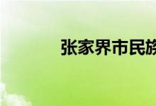张家界市民族中学的地址在哪
