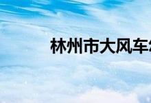 林州市大风车幼儿园的地址在哪