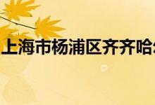 上海市杨浦区齐齐哈尔路第一小学的地址在哪
