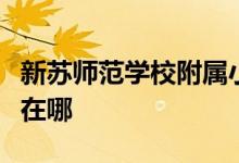 新苏师范学校附属小学（新苏师附小）的地址在哪