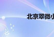 北京翠微小学的地址在哪