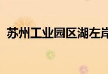 苏州工业园区湖左岸国际幼儿园的地址在哪