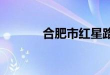 合肥市红星路小学的地址在哪