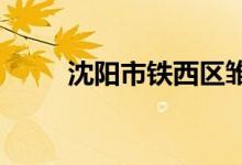 沈阳市铁西区雏鹰小学的地址在哪