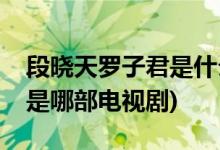 段晓天罗子君是什么电视剧(段晓天罗子君是是哪部电视剧)