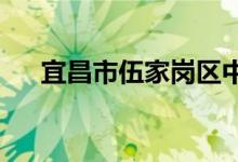 宜昌市伍家岗区中心幼儿园的地址在哪