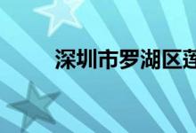 深圳市罗湖区莲南小学的地址在哪
