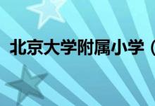 北京大学附属小学（北大附小）的地址在哪