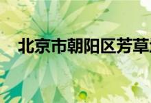 北京市朝阳区芳草地国际学校的地址在哪