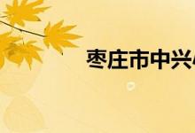 枣庄市中兴小学的地址在哪