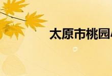 太原市桃园小学的地址在哪