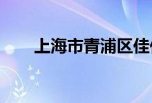 上海市青浦区佳佳幼儿园的地址在哪