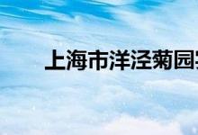 上海市洋泾菊园实验学校的地址在哪