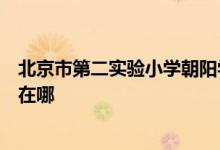 北京市第二实验小学朝阳学校（实验二小朝阳分校）的地址在哪