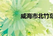 威海市北竹岛小学的地址在哪