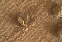 好奇号火星车在火星上发现一朵矿物花