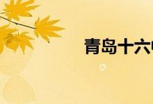 青岛十六中的地址在哪