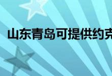 山东青岛可提供约克空调维修服务地址在哪