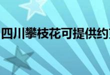 四川攀枝花可提供约克空调维修服务地址在哪